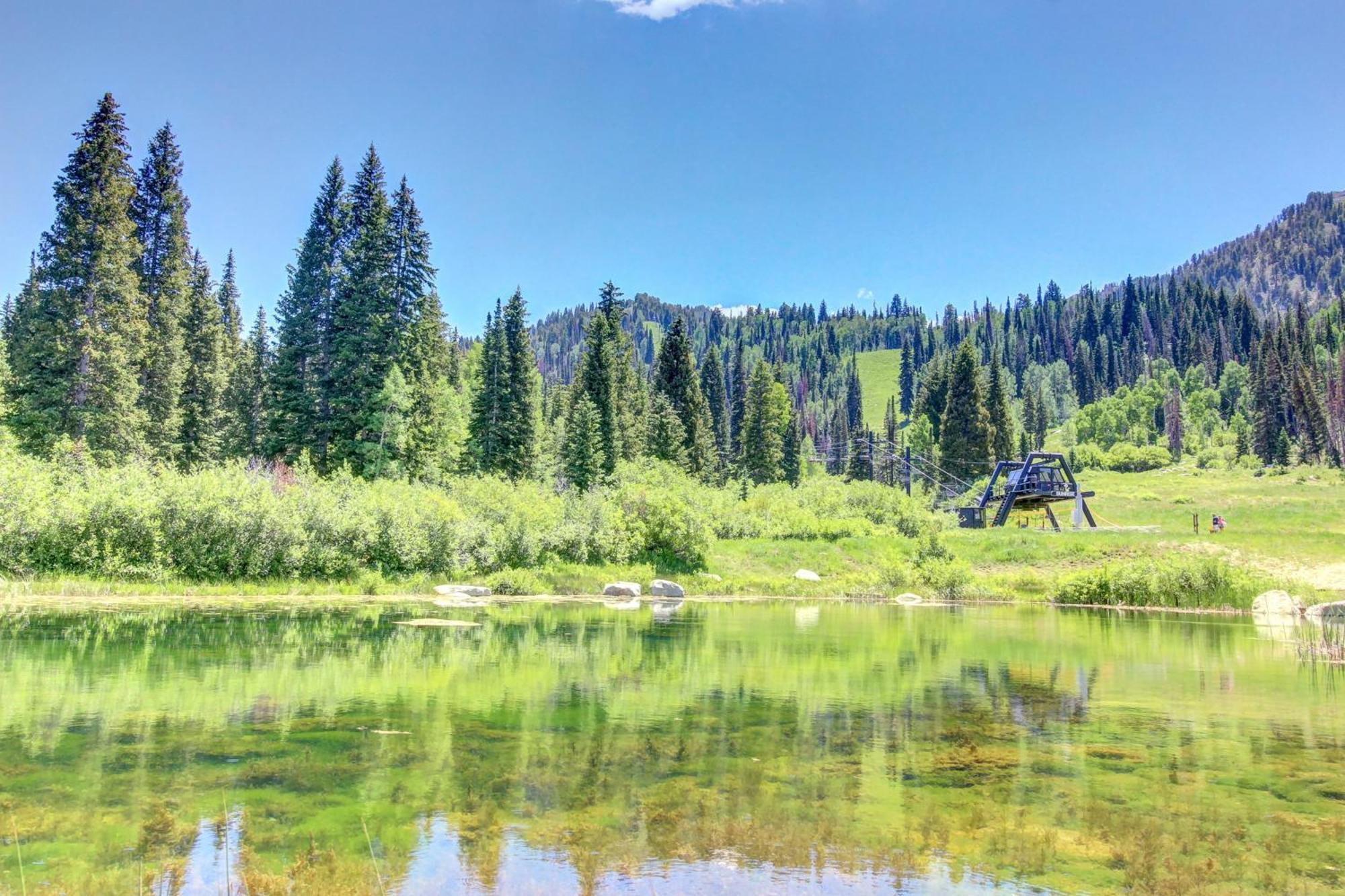 Eagle Springs East 315: Osprey Suite Solitude Екстериор снимка