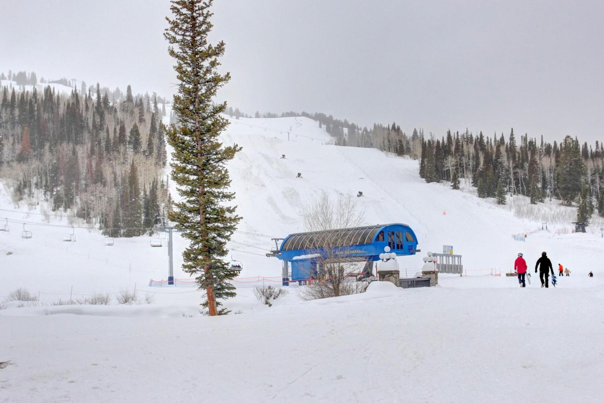 Eagle Springs East 315: Osprey Suite Solitude Екстериор снимка