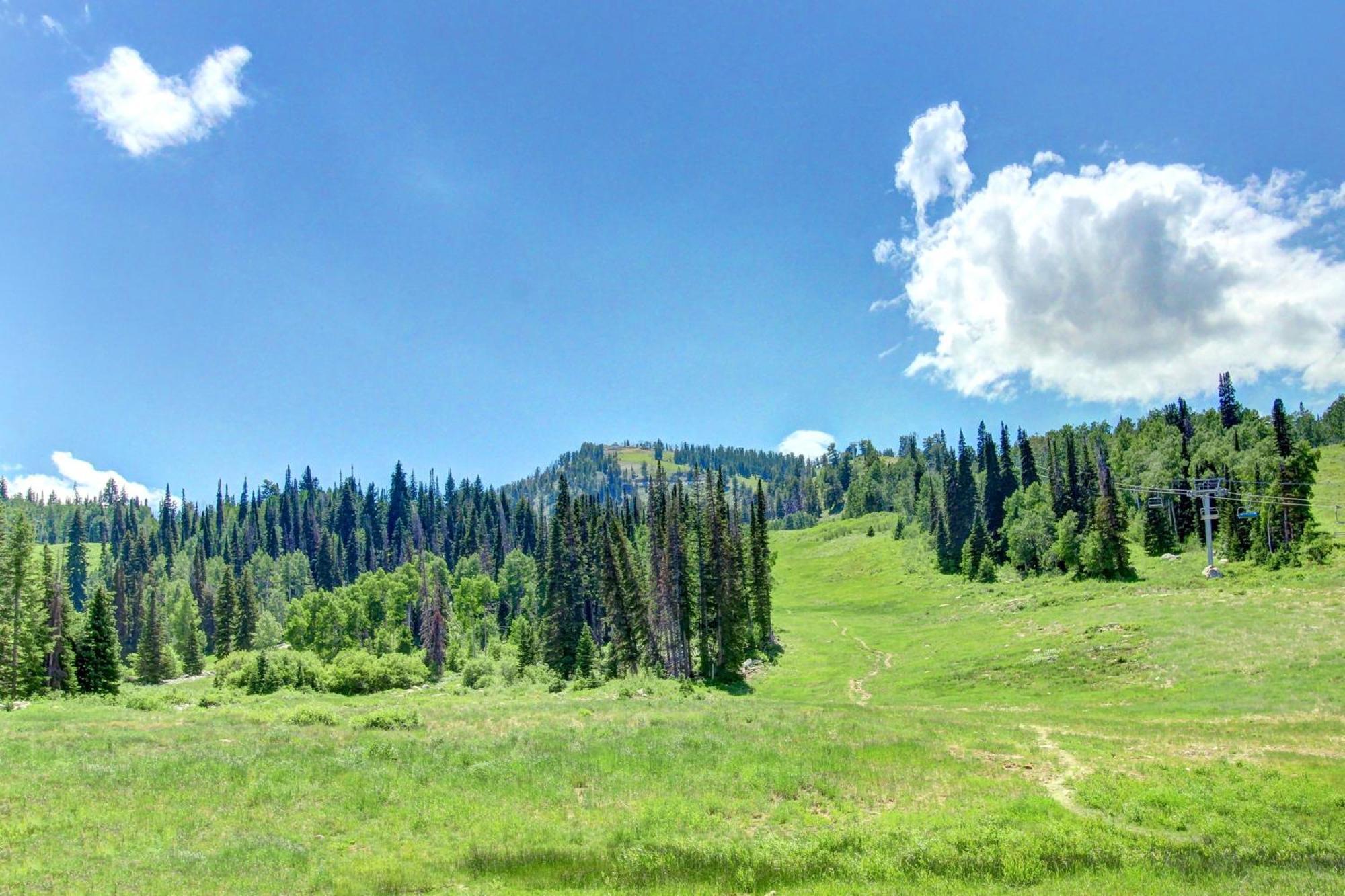 Eagle Springs East 315: Osprey Suite Solitude Екстериор снимка